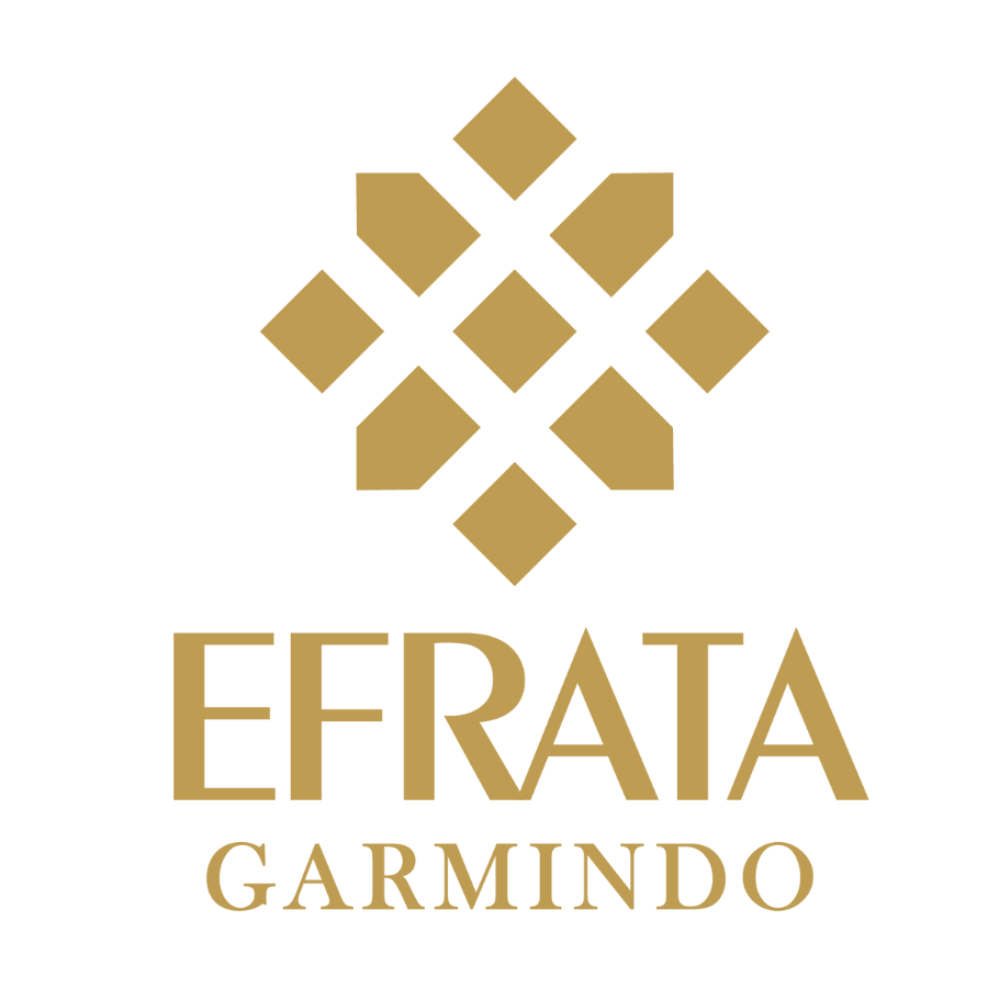 Logo Efrata